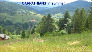 carpathians-4