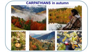 carpathians-5